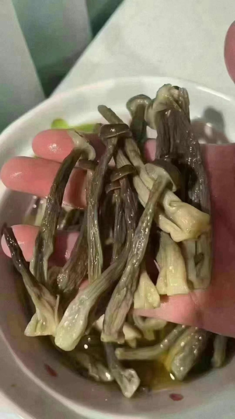 鹿茸菇
