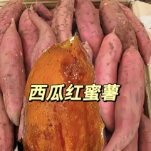 精品推荐西瓜红红薯烤红薯质量保证欢迎咨询！