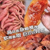精品烟薯现摘现发大量有货品质保证欢迎咨询