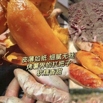 推荐烟薯红薯产地直发量大从优供应全国质量保证欢迎咨询