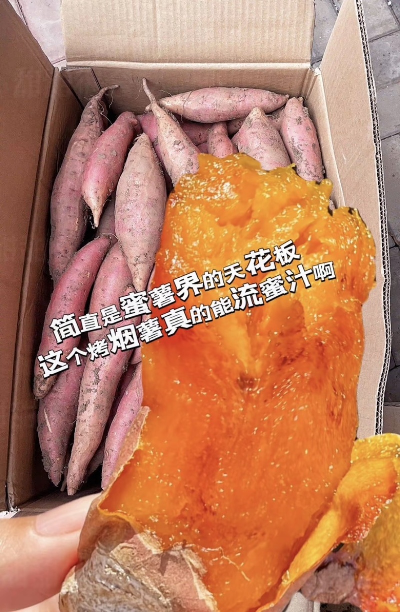 推荐烟薯红薯产地直发量大从优供应全国质量保证欢迎咨询