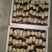 新鲜大球盖菇，恩施高山种植