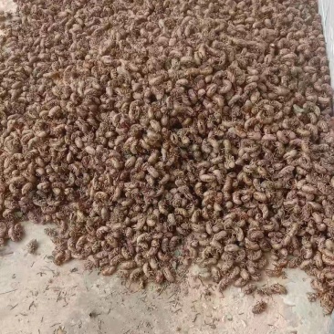 中药材，