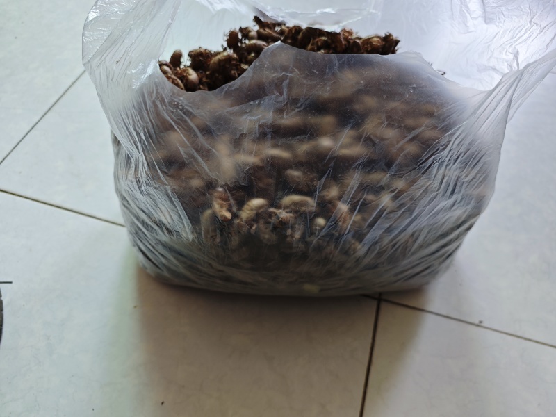 中药材，