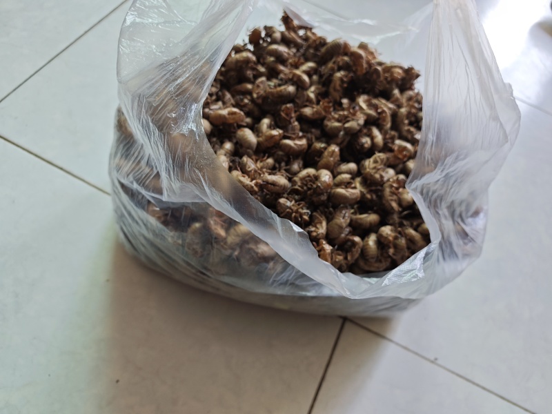 中药材，