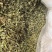 罗布麻叶小叶大叶两种都有