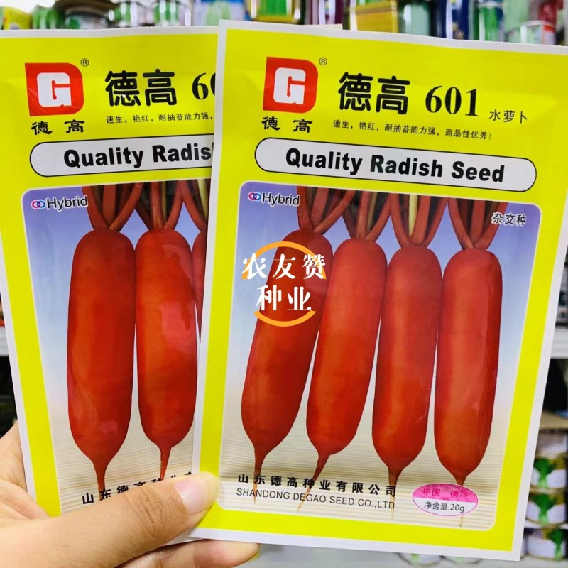 德高萝卜种籽601水萝卜种子不辣微甜红萝卜种子无辣味春秋