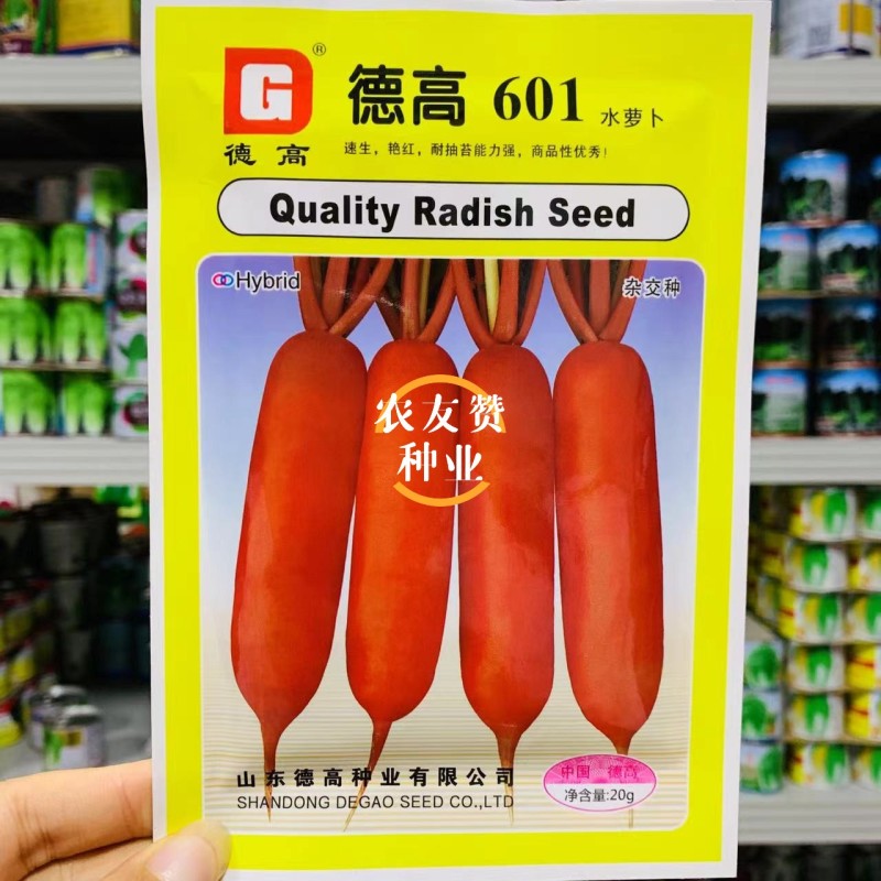 德高萝卜种籽601水萝卜种子不辣微甜红萝卜种子无辣味春秋