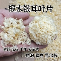 椴木银耳叶片新鲜本色无硫椴木小银耳碎片干净无杂质