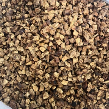 精品菊苣，产地直销，大量有货，欢迎选购
