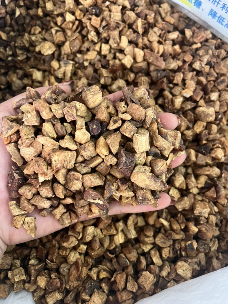 精品菊苣，产地直销，大量有货，欢迎选购