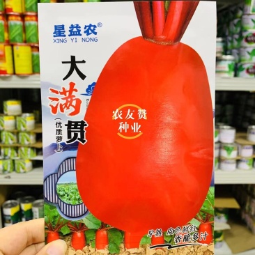 大满贯红萝卜种子早熟红皮萝卜种子口感脆嫩多汁秋季萝卜籽