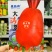 大满贯红萝卜种子早熟红皮萝卜种子口感脆嫩多汁秋季萝卜籽