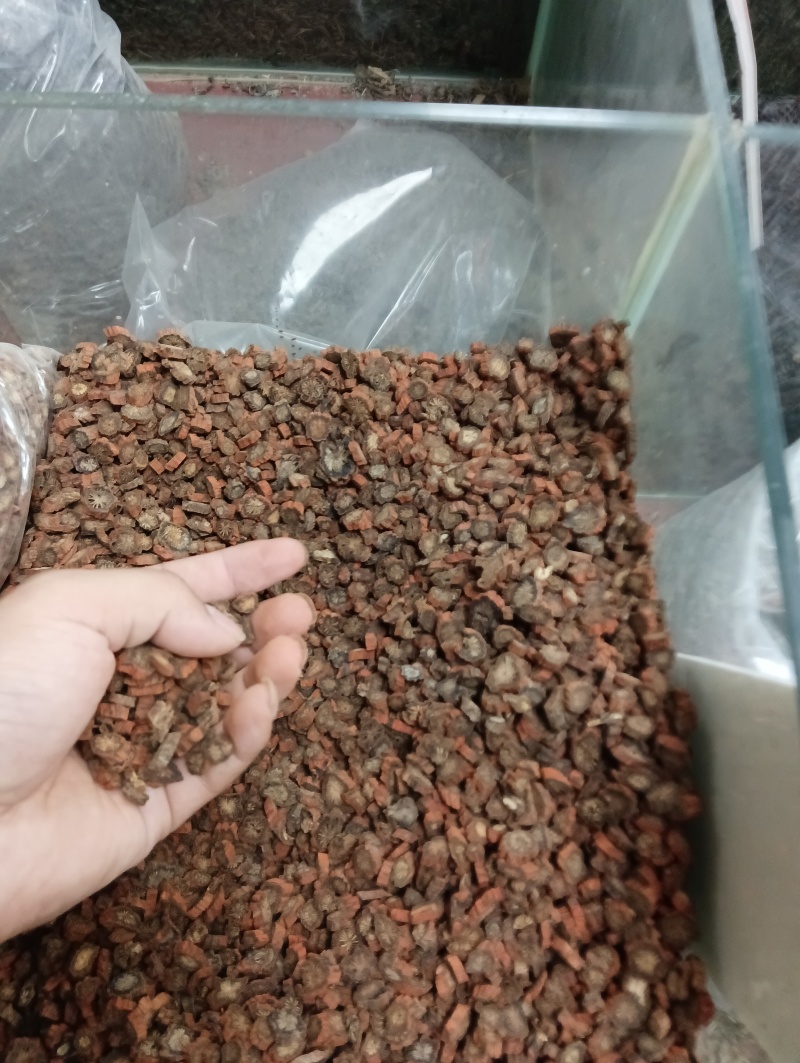 丹参紫丹参中药材丹参无熏丹参片代客打粉产地货