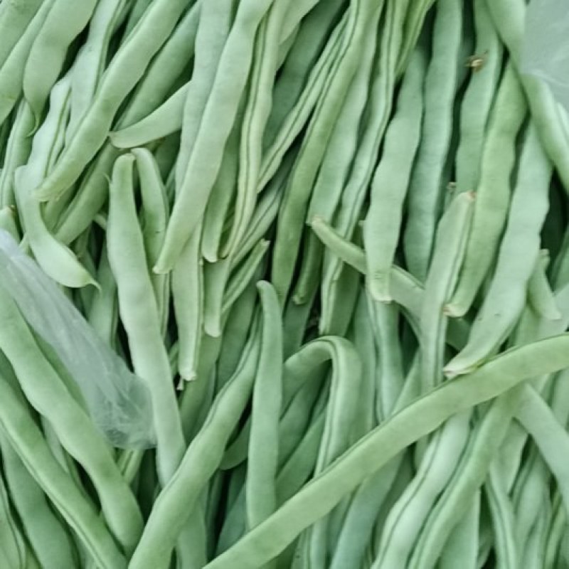 白条豆角