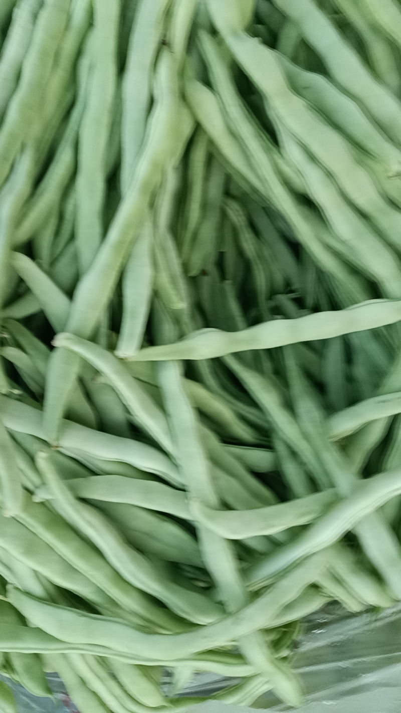 白条豆角