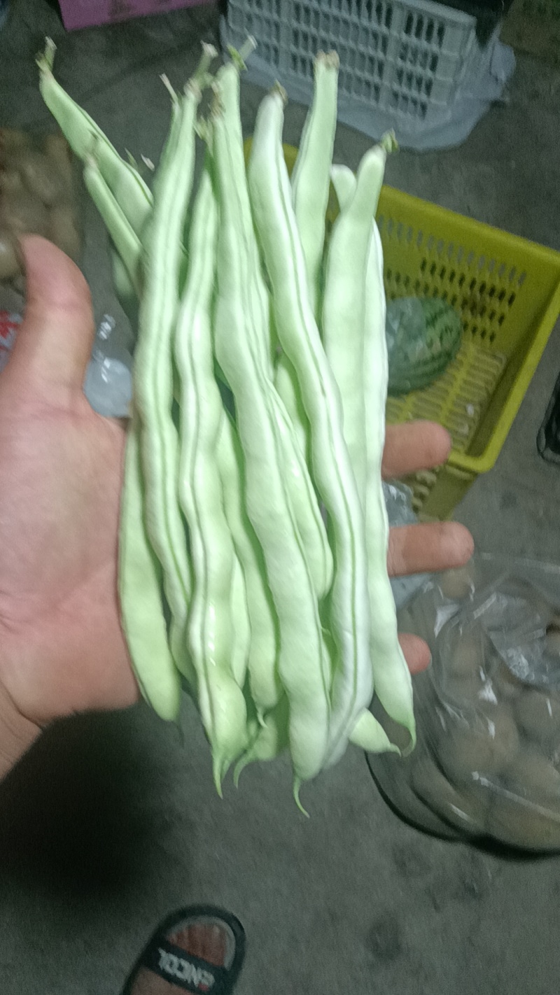 白条豆角