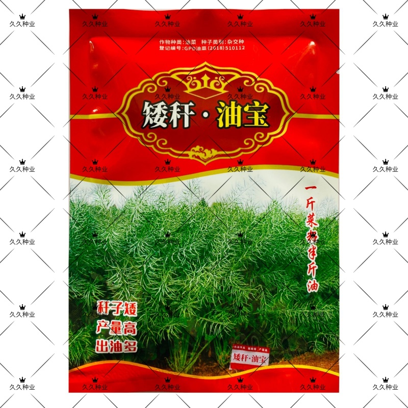 川油45矮杆油宝油菜种子甘蓝型油菜籽杂交高产高油秋播