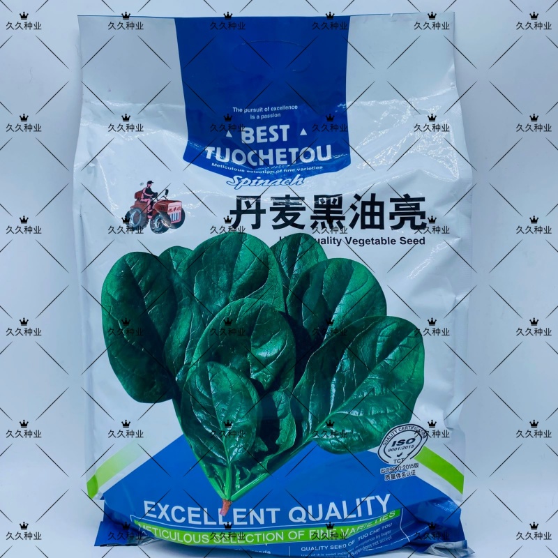 拖车头丹麦黑又亮菠菜种子高产春秋冬季四季波菜种籽大面积种