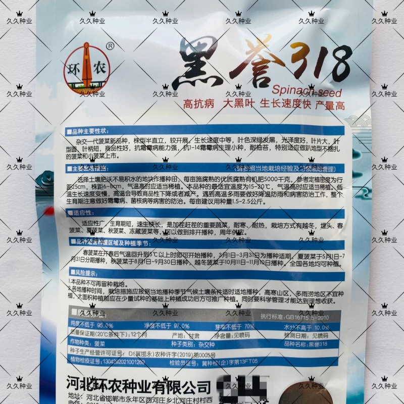 黑誉318大黑叶菠菜种子速生抗病高产菠菜种籽四季秋冬