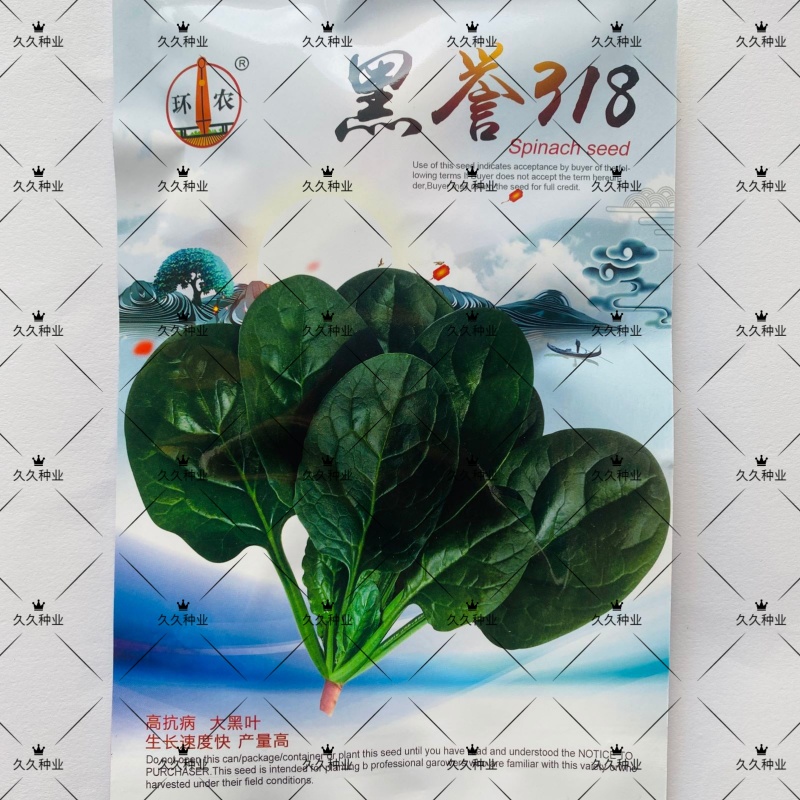 黑誉318大黑叶菠菜种子速生抗病高产菠菜种籽四季秋冬