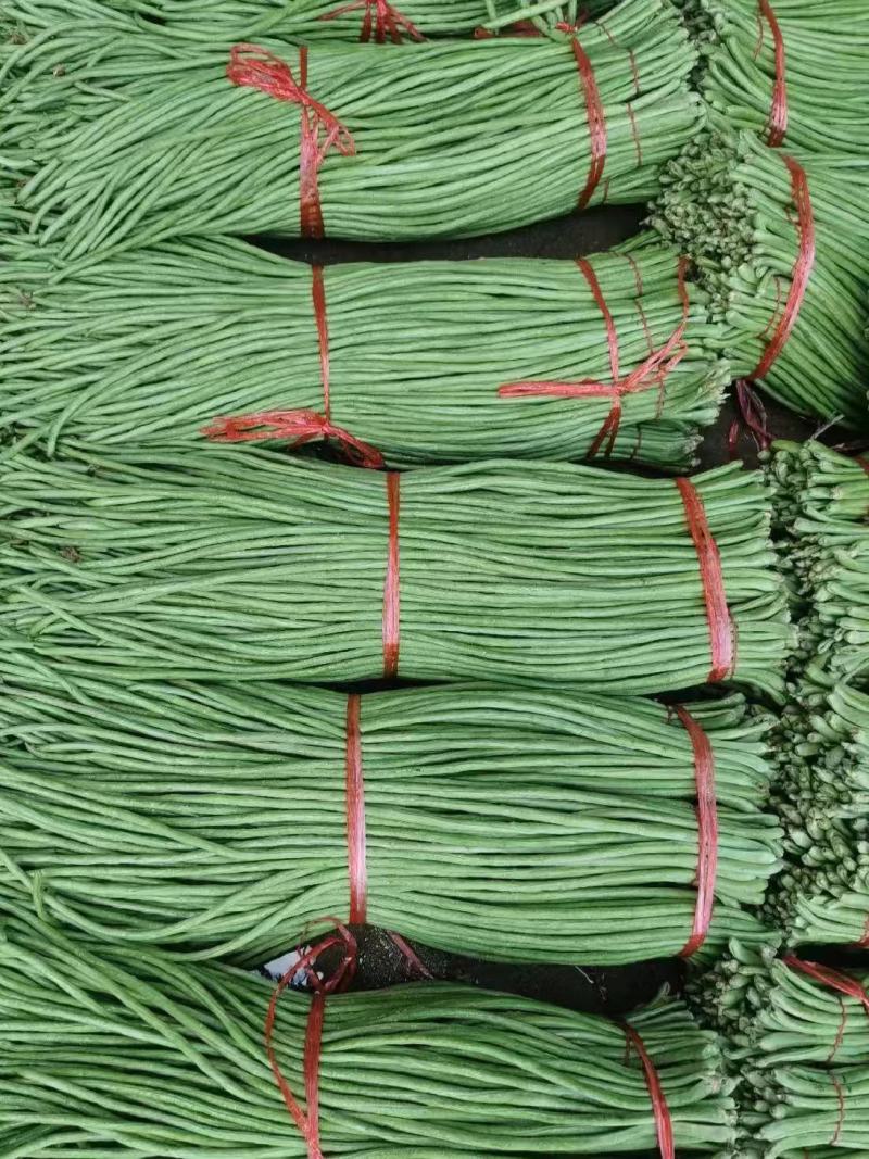 长豆角，长青条，绿油油豇豆。通货，精品，次品