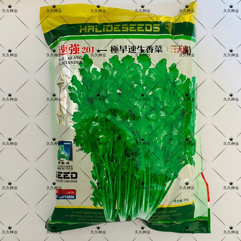 速强201极早速生香菜种子三天出四季播抗热耐寒香菜种子