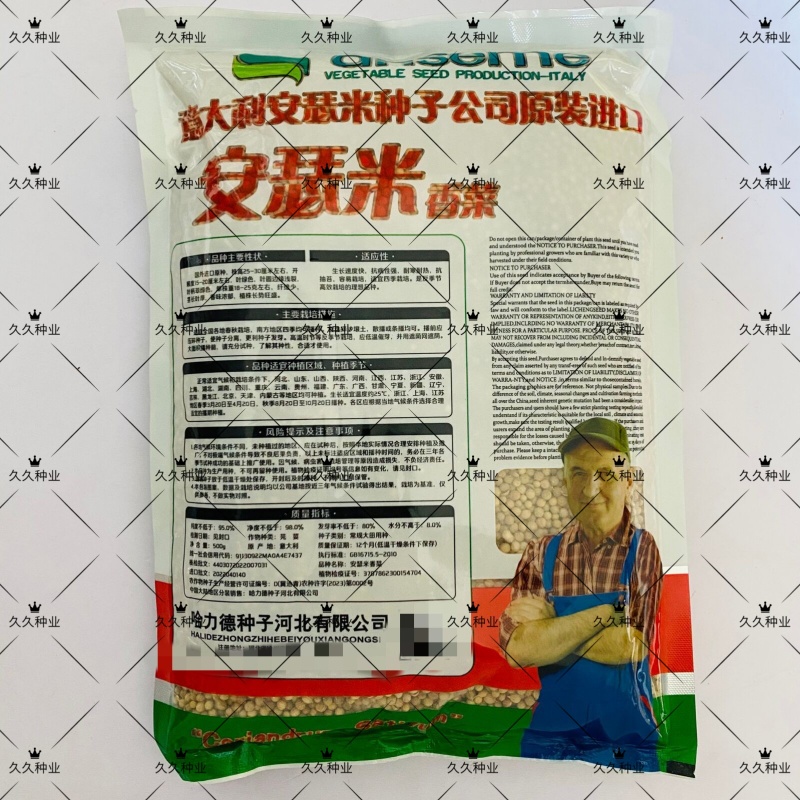 安瑟米香菜种子意大利原装进口芫荽种籽耐寒耐热四季大叶香菜