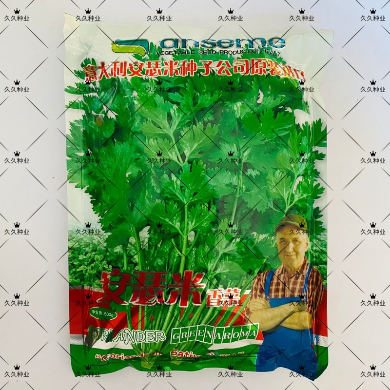 安瑟米香菜种子意大利原装进口芫荽种籽耐寒耐热四季大叶香菜