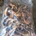 黄牛肝菌干片