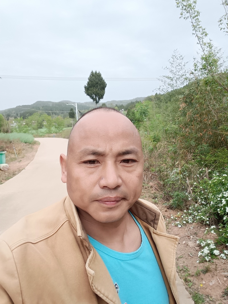 200亩耕地