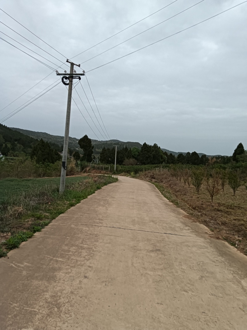 200亩耕地