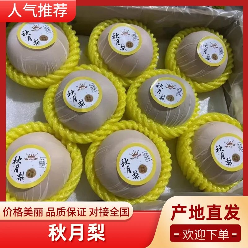 （冠县优质丰水梨)秋月梨中心产区