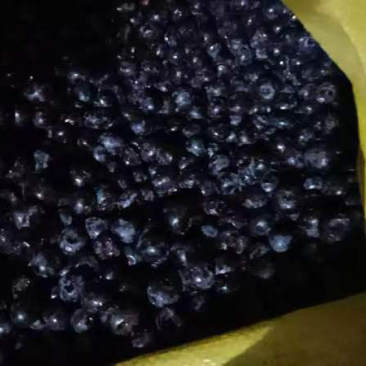 东北蓝莓冷冻果