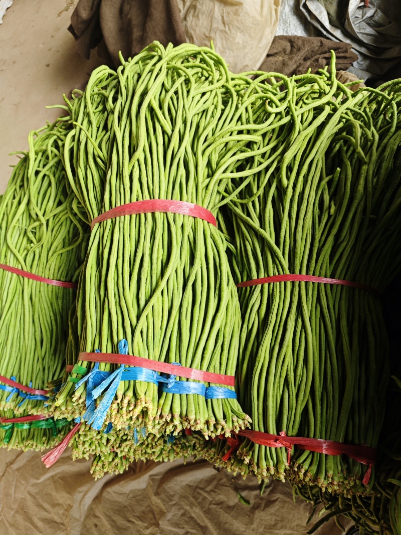 长豆角，大量上市中，质优价廉，欢迎入坑