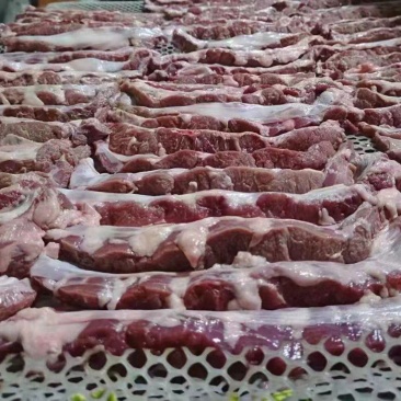 精品罗根肉纯干货厂家直销价格优惠大量供应