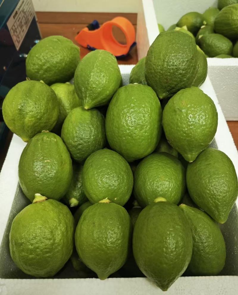 广东香水柠檬一级果，非常靚