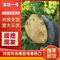 【冰点价】署形端正现场看货订货全程陪同看货包满意为止净菜