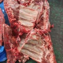 多肉猪小排，新日期，颜色鲜亮，带肉多，价格不高，