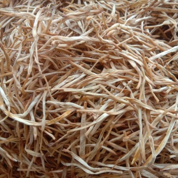 【王淇黄花菜产地直销】精品黄花菜欢迎新老客户来电咨询