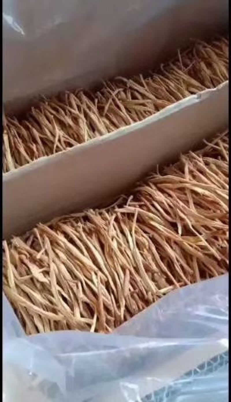 【王淇黄花菜产地直销】精品黄花菜欢迎新老客户来电咨询