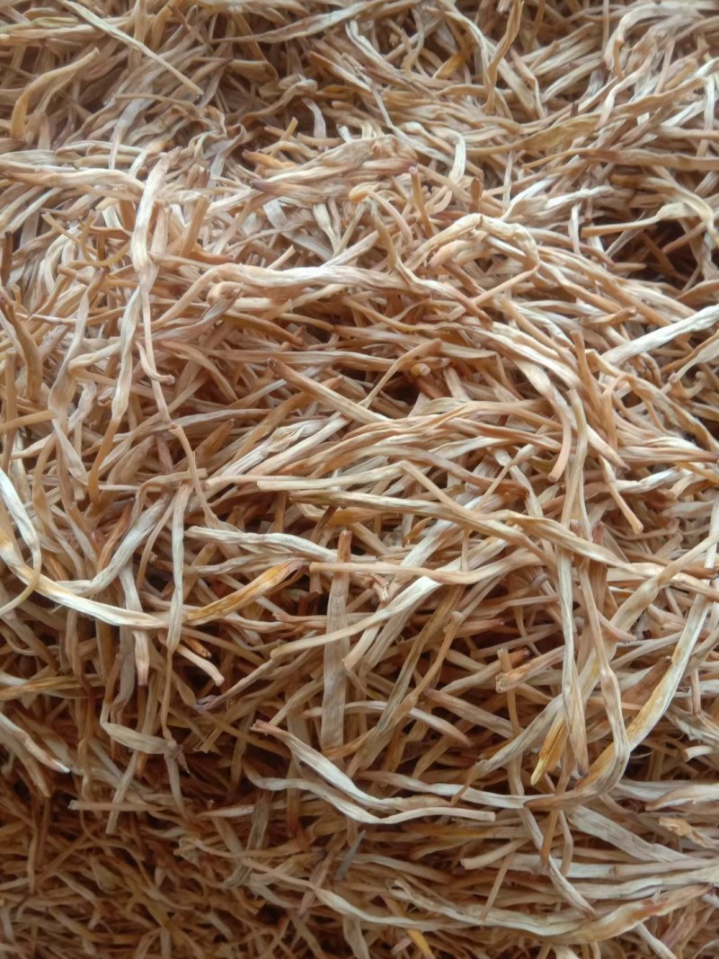 【王淇黄花菜产地直销】精品黄花菜欢迎新老客户来电咨询
