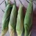 甜玉23大量上市，口感非常好，老嫩正好，无虫，个头大
