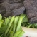 种植基地大面积种植新鲜豌豆苗大量上市