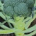 西兰花或叫青花