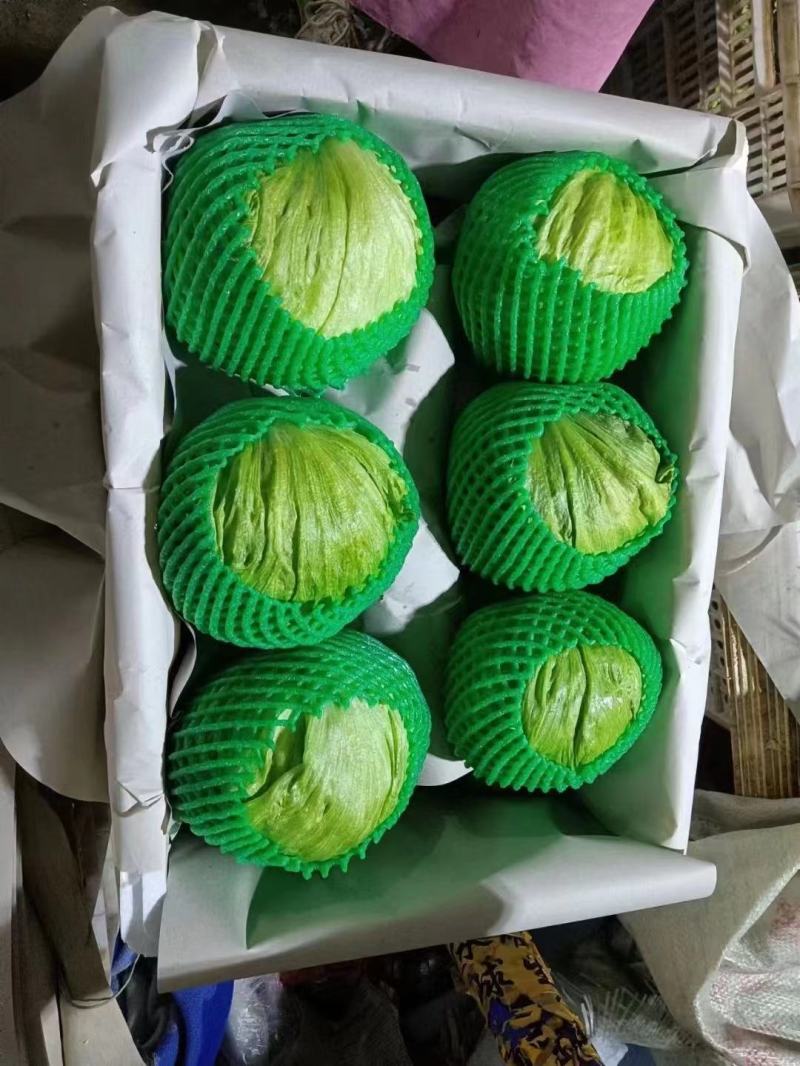 生菜