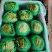 生菜