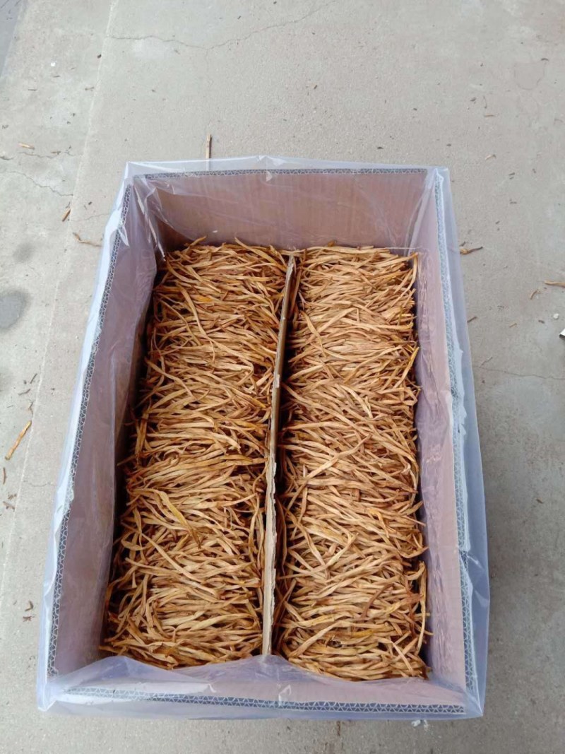 【王淇黄花菜产地直销】精品直条手排菜无任何添加欢迎新老客