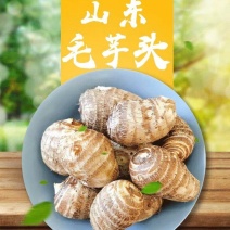 沙土地毛芋头产地大量上市，现挖现发，保证新鲜全国发货