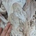 羊小肚羊百叶散袋红肠大量有货工厂批发